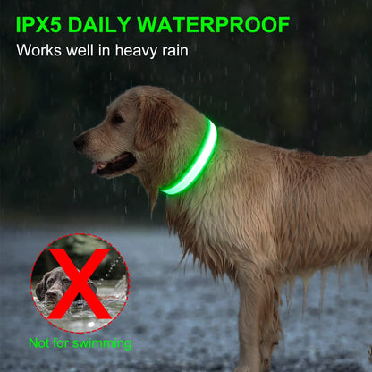 BarkDog USB rechargeable LED dog collar for safe night walks
