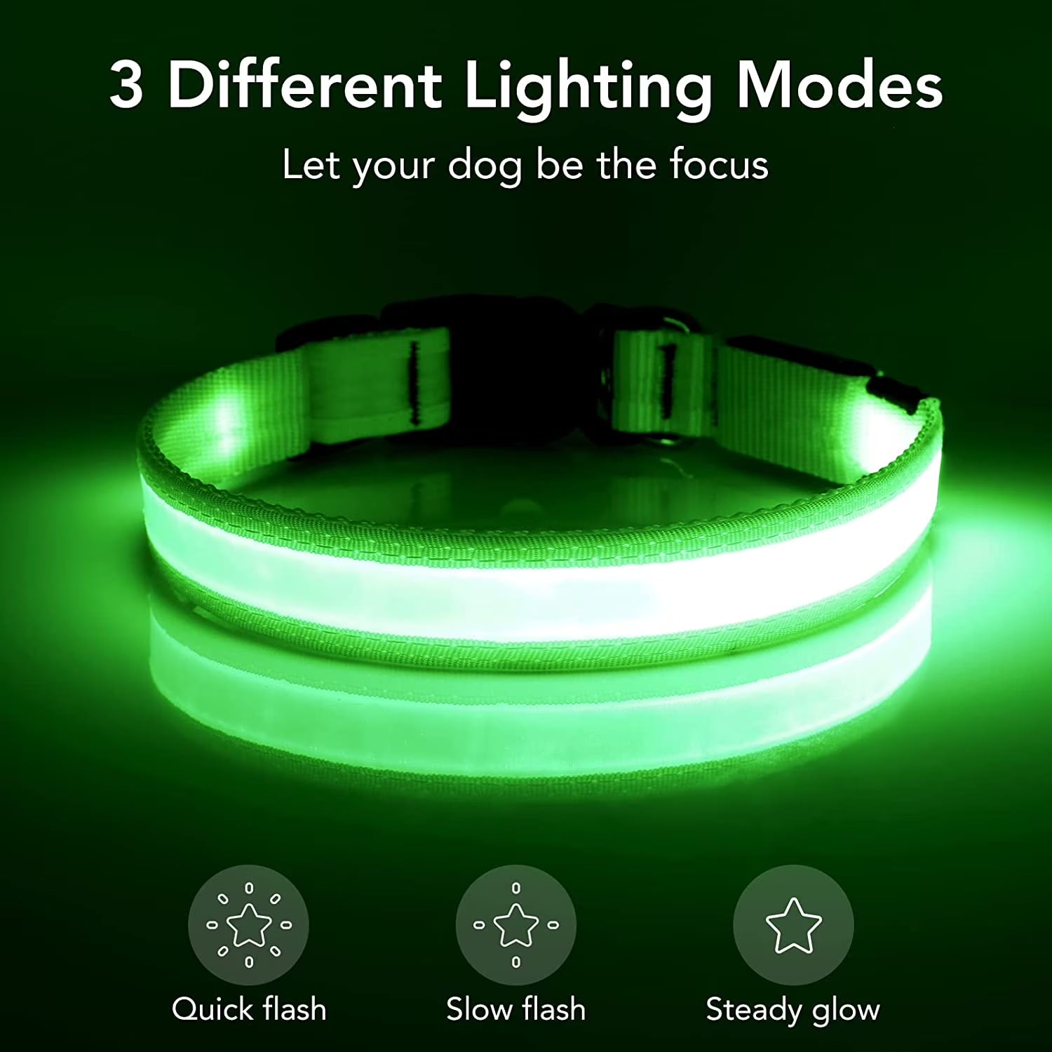 BarkDog USB rechargeable LED dog collar for safe night walks