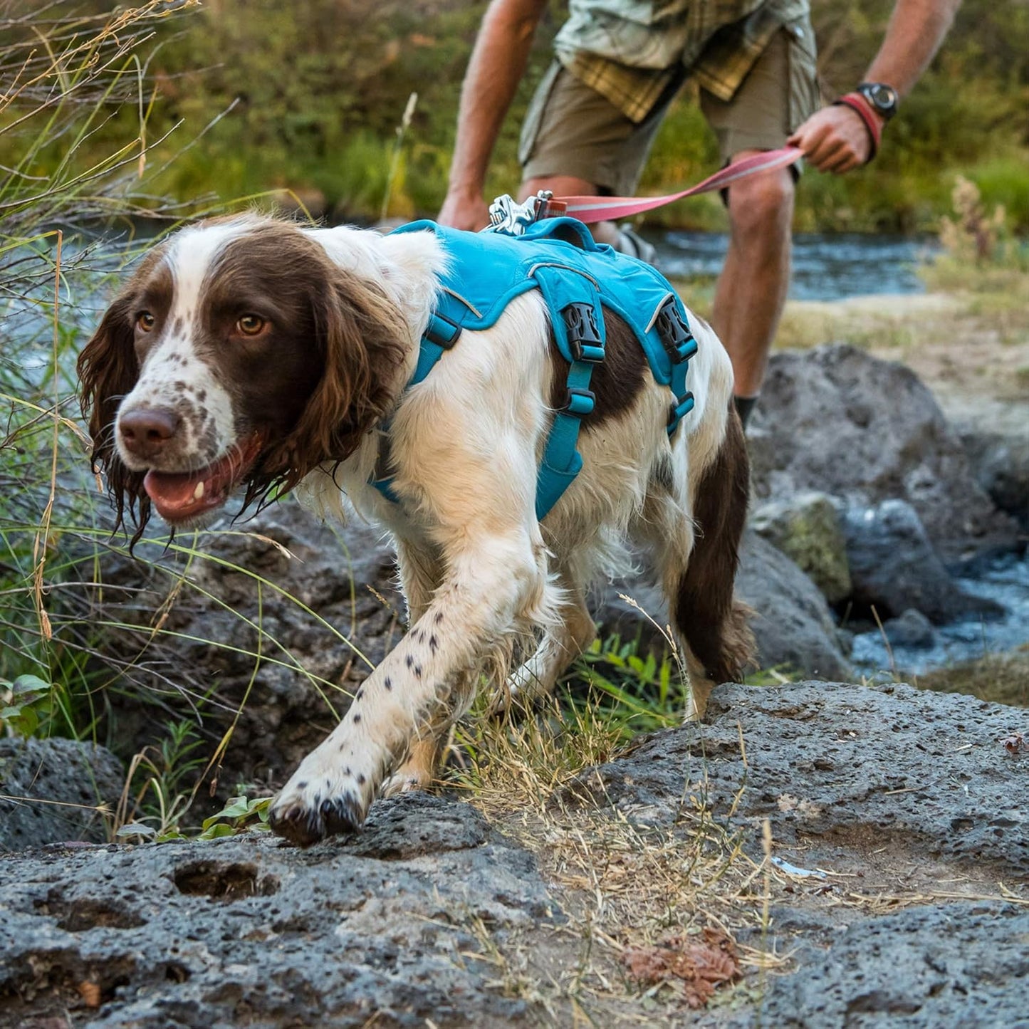 BarkDog Support Dog Harness with Lift Handle