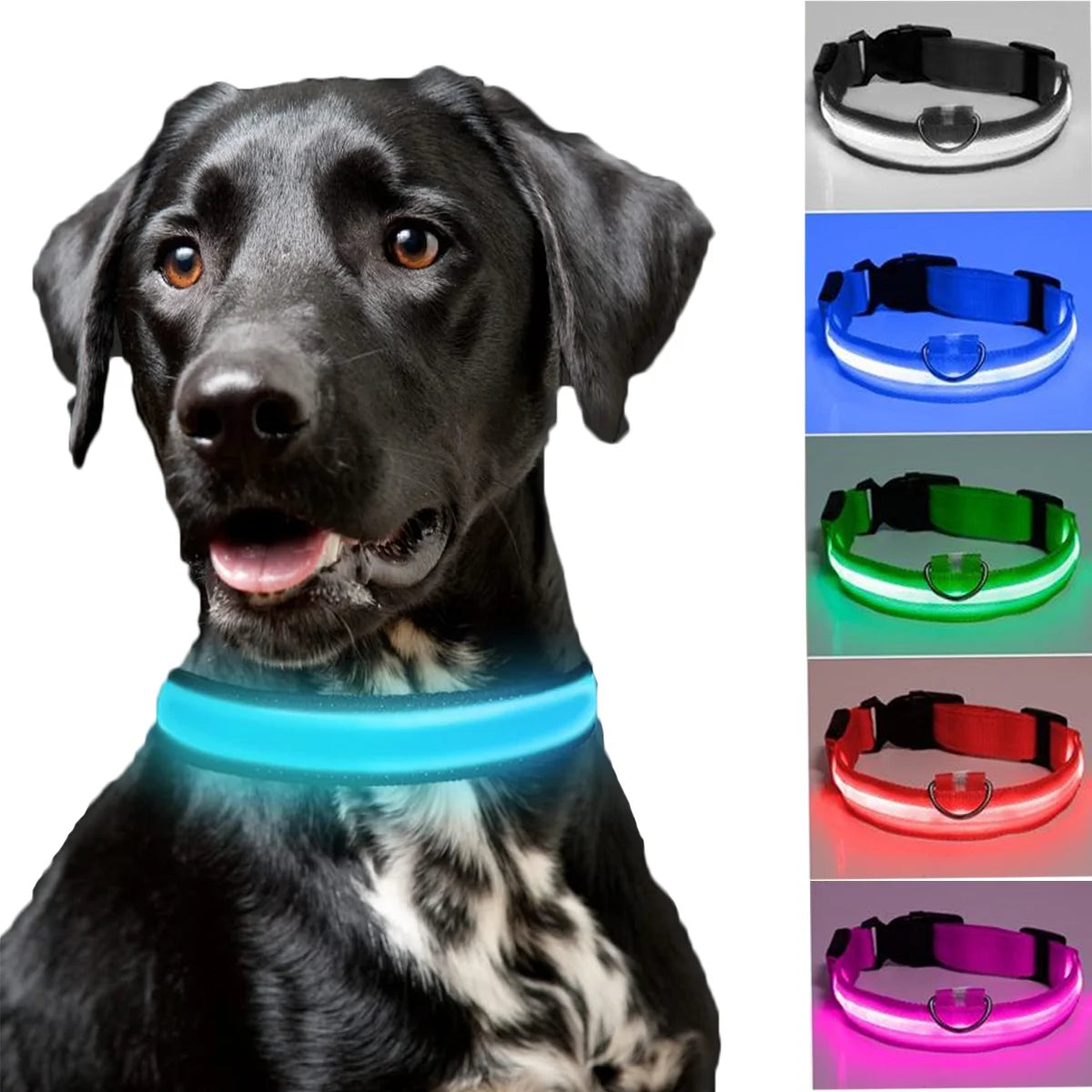 BarkDog Walk & Safety Kit — LED collar and reflective patches